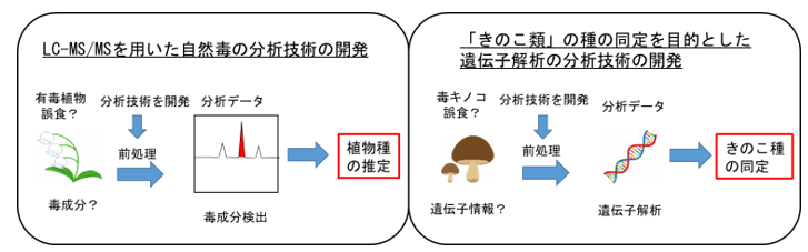 開発状況