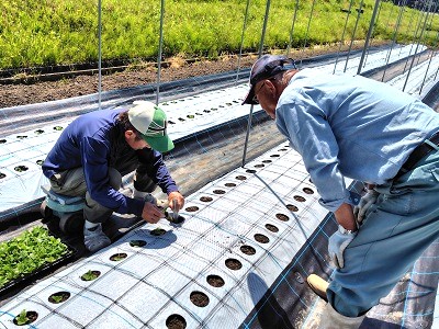 実習