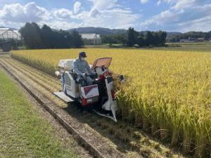 収穫作業の様子を撮影した写真です