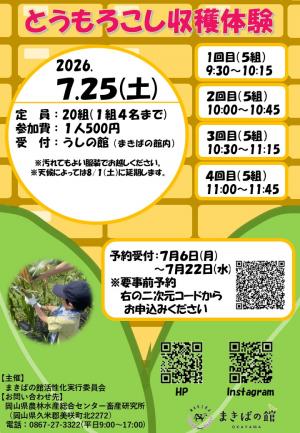 チラシ