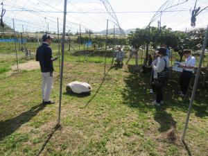 ロボット草刈り機の実演会