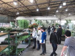 花き市場の見学　　　