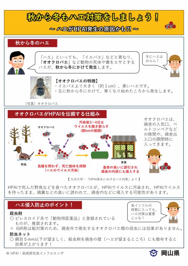 秋から冬もハエ対策をしましょう!