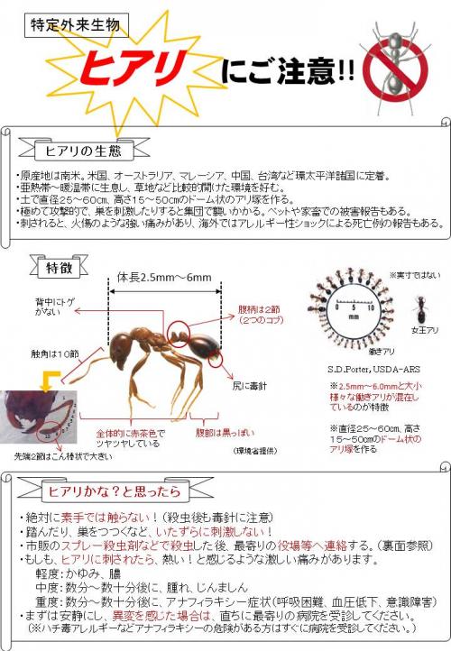 ヒアリにご注意!