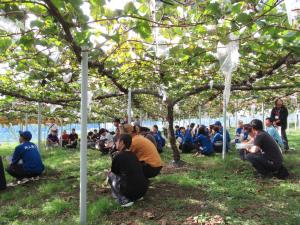 吉備中央町のブドウ園で研修2