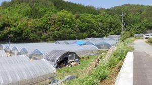 予定地周辺の様子