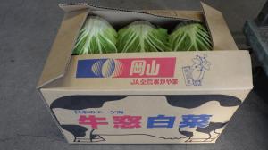 【牛窓春はくさい】