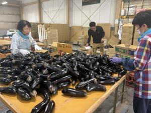 初出荷のトラックを見送る部会員