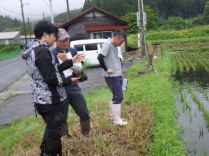 普及指導員がヒメノモチの生育状況を組合員に説明している写真
