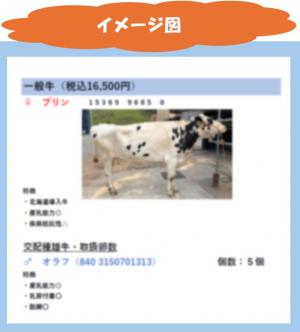 採卵牛情報（仮）