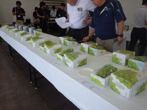 ぶどうを審査する様子
