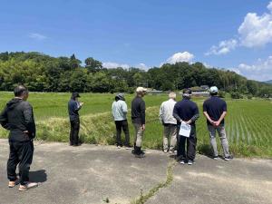 関係者で生育状況を確認している写真