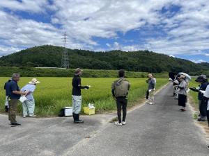湛水直播ほ場を見学している写真