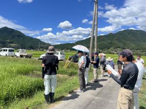 乾田直播ほ場を見学している写真