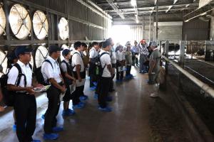 松﨑牧場を見学