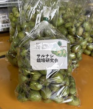 袋詰めされたサルナシの写真
