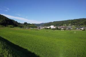 有漢地区の風景