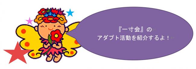 活動紹介