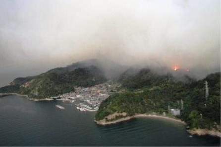 玉野市石島の林野火災の写真