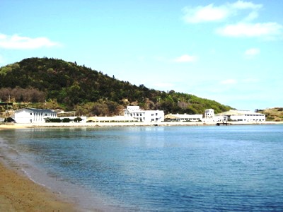 水産試験場の全景