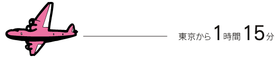 航空機で東京から1時間15分