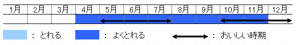 旬の時期