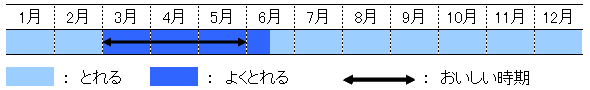 アサリの旬