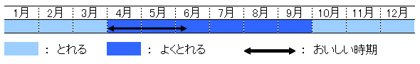 旬の時期