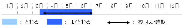 旬の時期