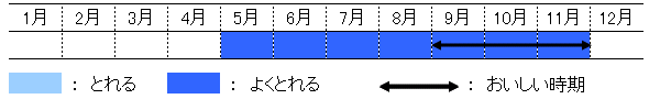 旬の時期