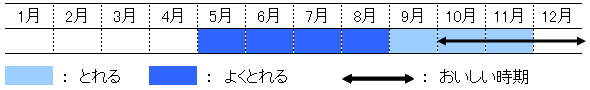 旬の時期