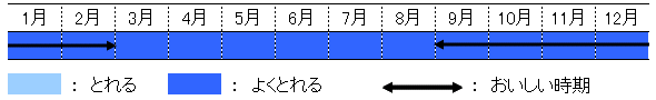 旬の時期