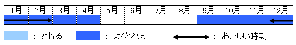 旬の時期