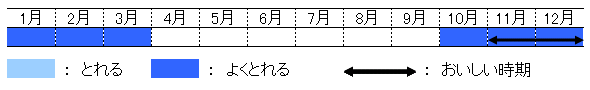 旬の時期