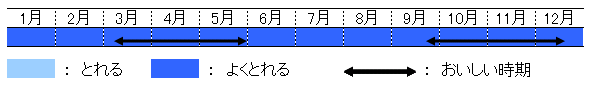 旬の時期