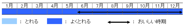 旬の時期