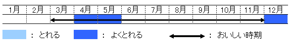 旬の時期