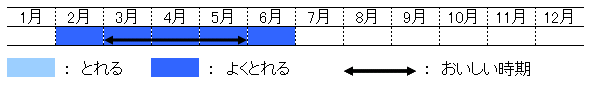 旬の時期