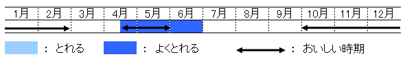 旬の時期