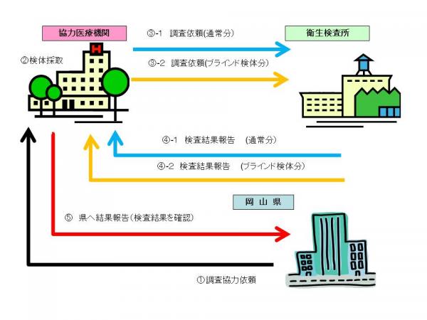 ブラインド調査のフロー図