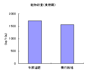 乾物収量グラフ