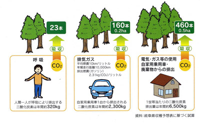 森林の二酸化炭素吸収量