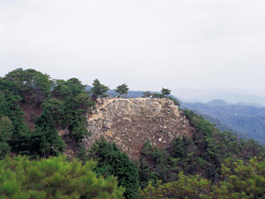 kodai-2