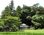 tokura3