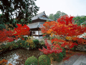 井山宝福寺