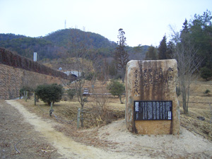 ヒイゴ池湿地