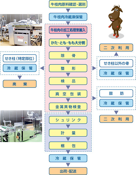 牛カットライン