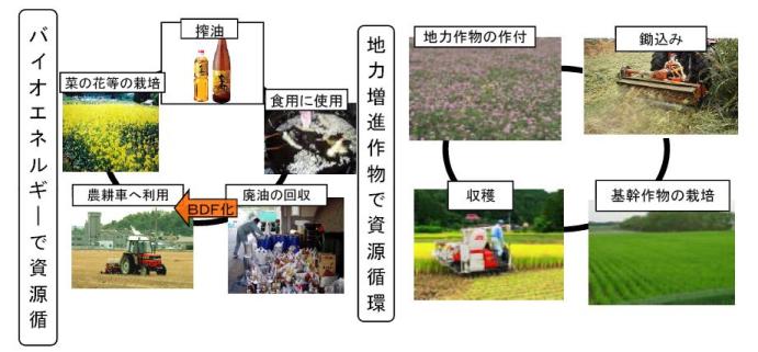 事業概要図