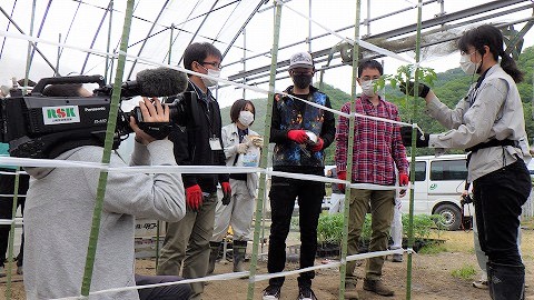 トマトスクールの様子