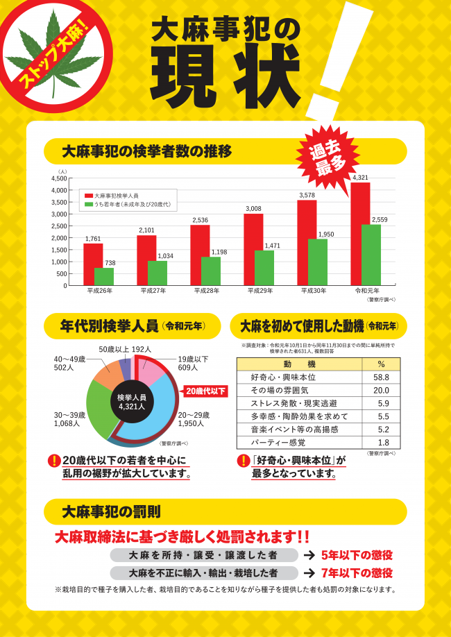 大麻事犯の現状